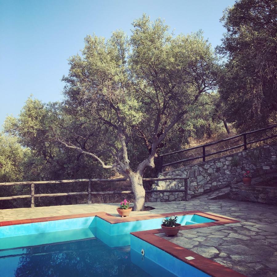 Villa Valia: Traditional Luxurious Residence Pirgadikia Exterior foto